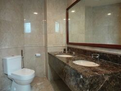 Parc Oasis (D22), Condominium #561092791